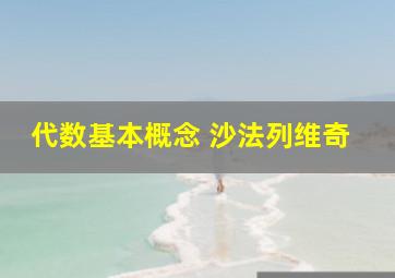 代数基本概念 沙法列维奇